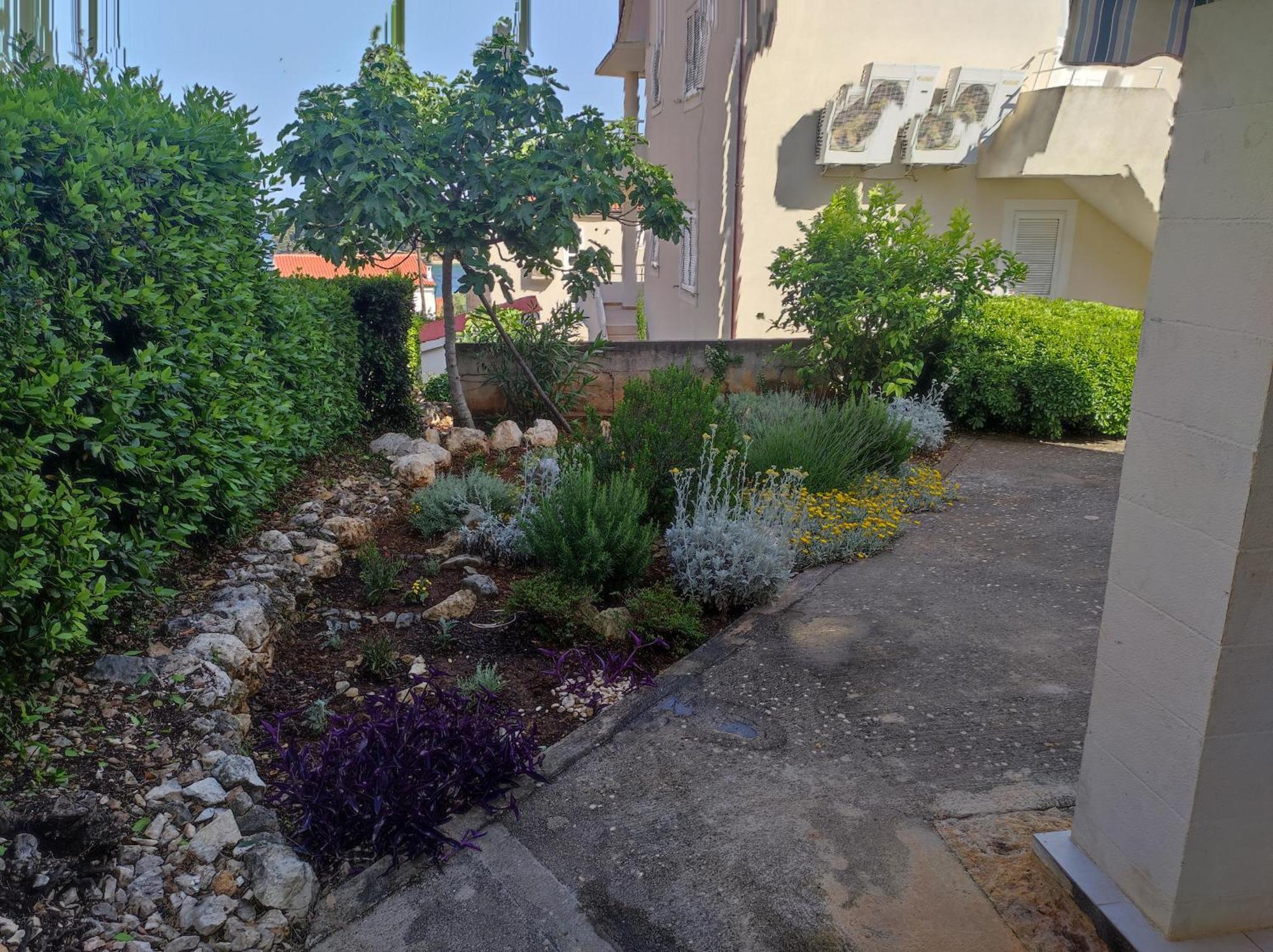 Apartments Paska Preko Dış mekan fotoğraf